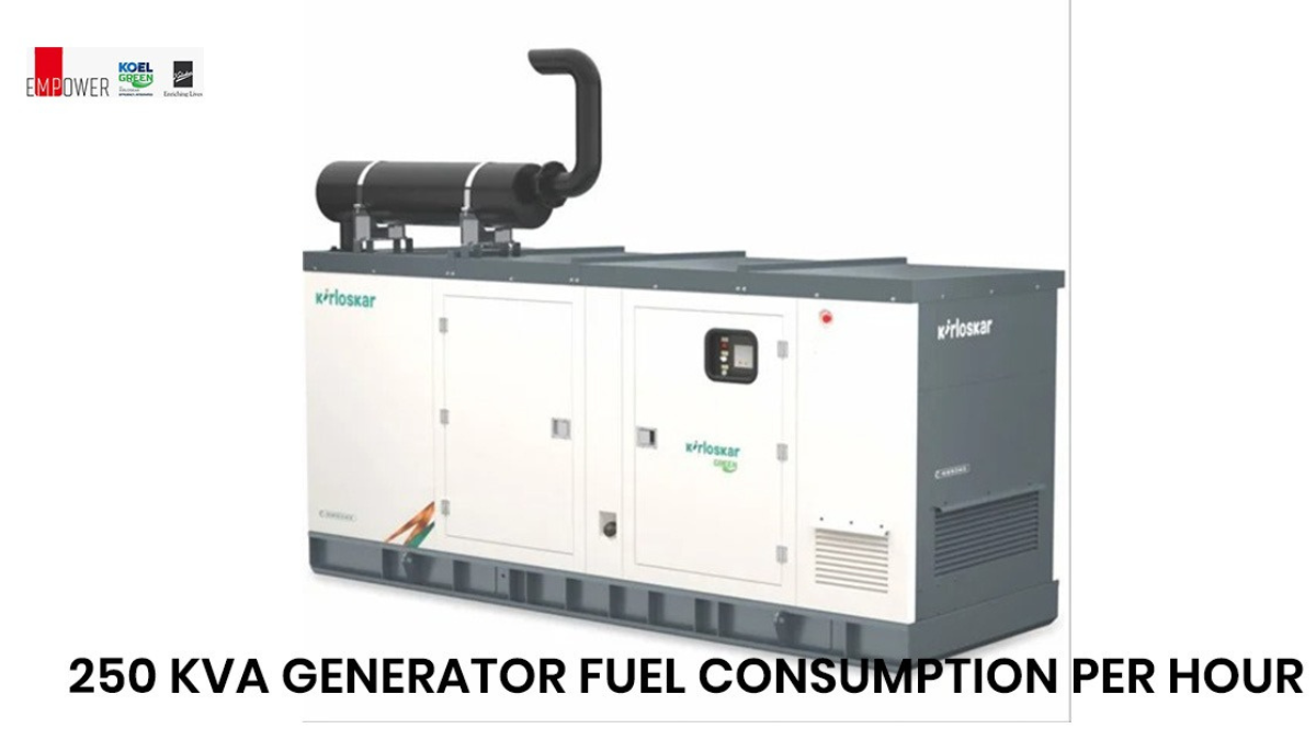 250 kva generator fuel consumption per hour