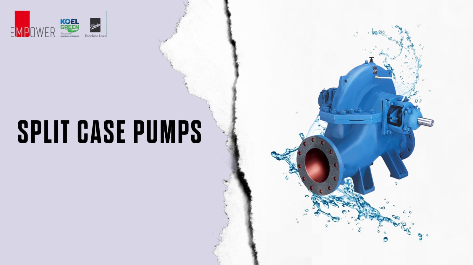 Split Case Pumps